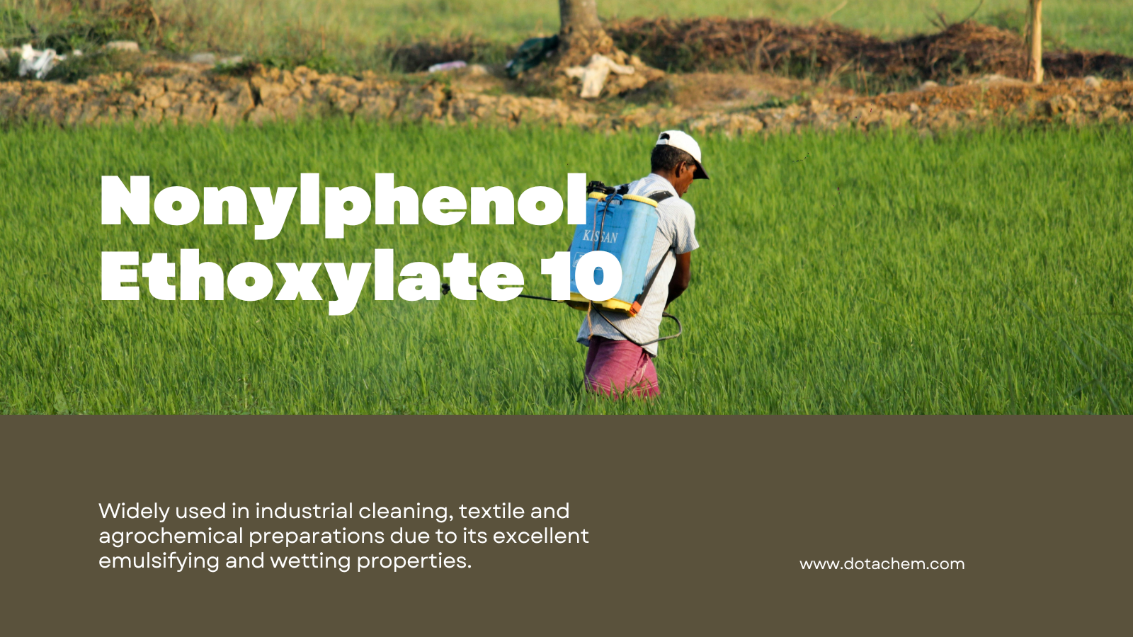 Dotachem International Supply | NPE10 Professional Guide: functies, applicaties en wereldwijde oplossingen